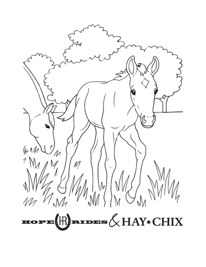 Hay Chix Youth Coloring Tee