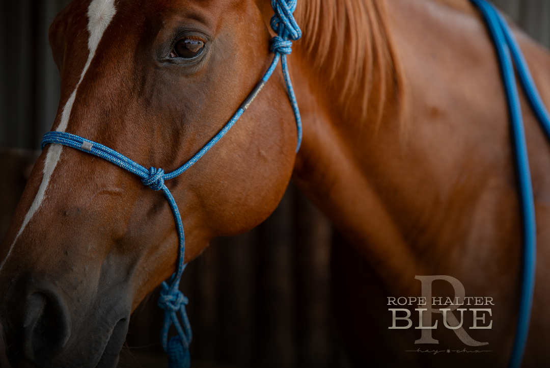 Redemption Rope Halters