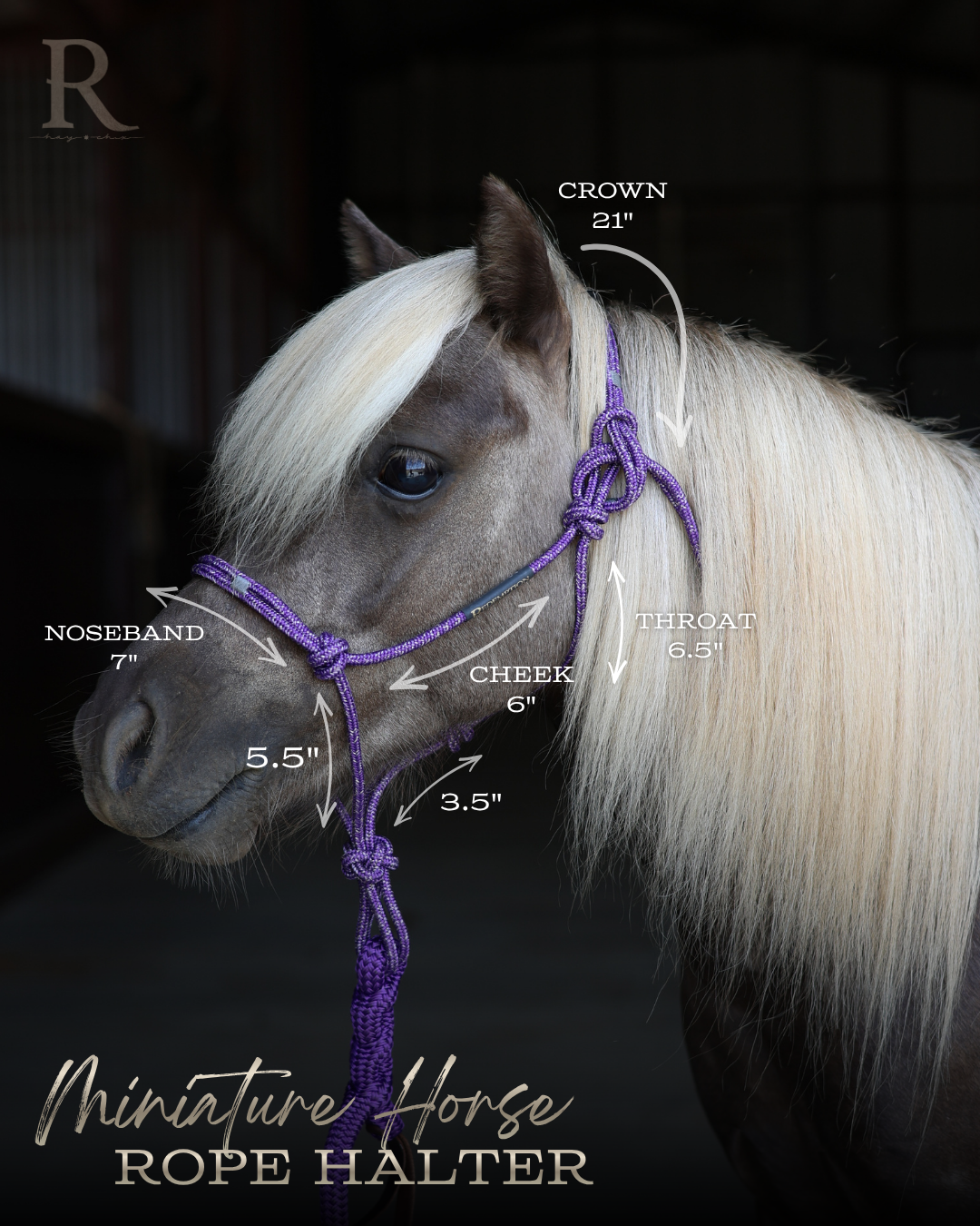 Timeless Halter & Lead Rope Set- Solid Blue