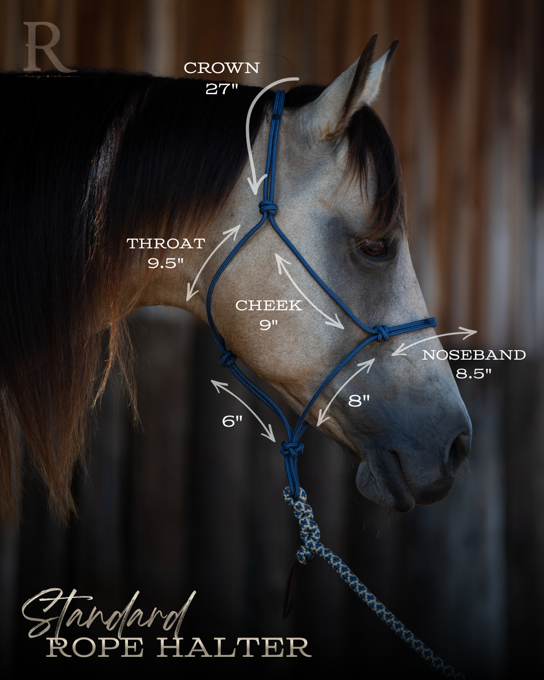 Redemption Rope Halters (Standard Size - On Sale)