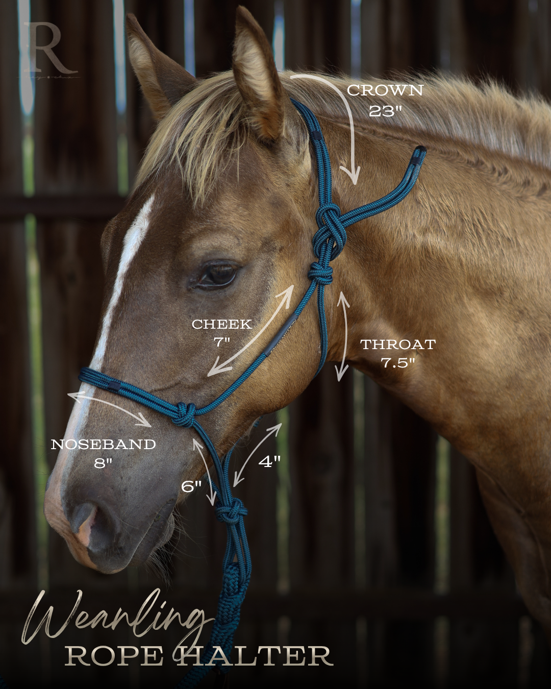 Redemption Rope Halters