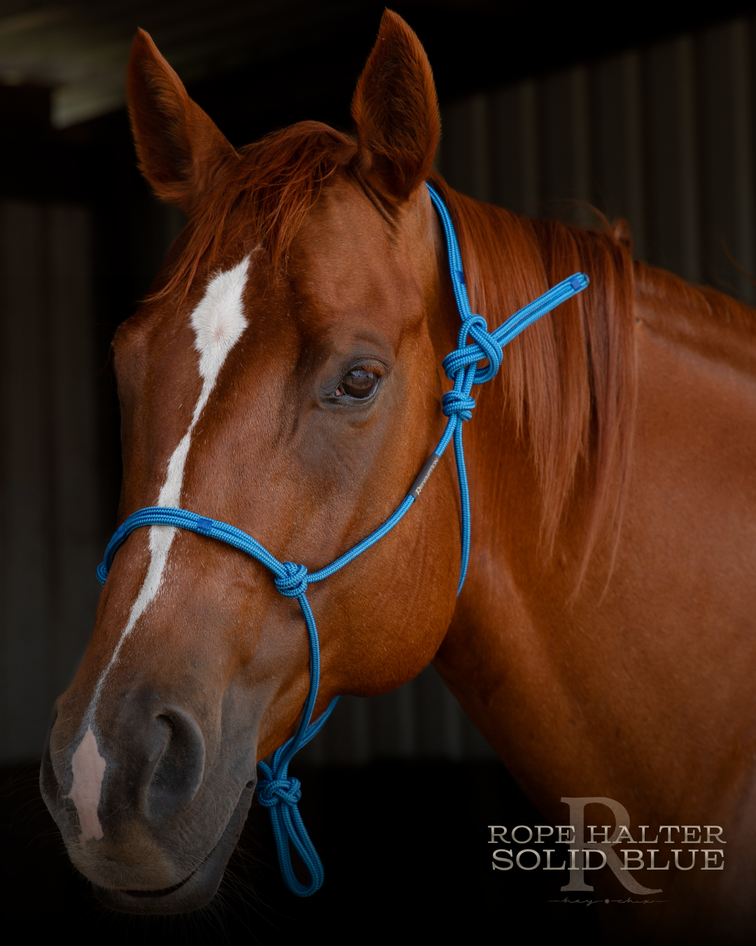 Redemption Rope Halters