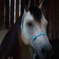 Redemption Rope Halters