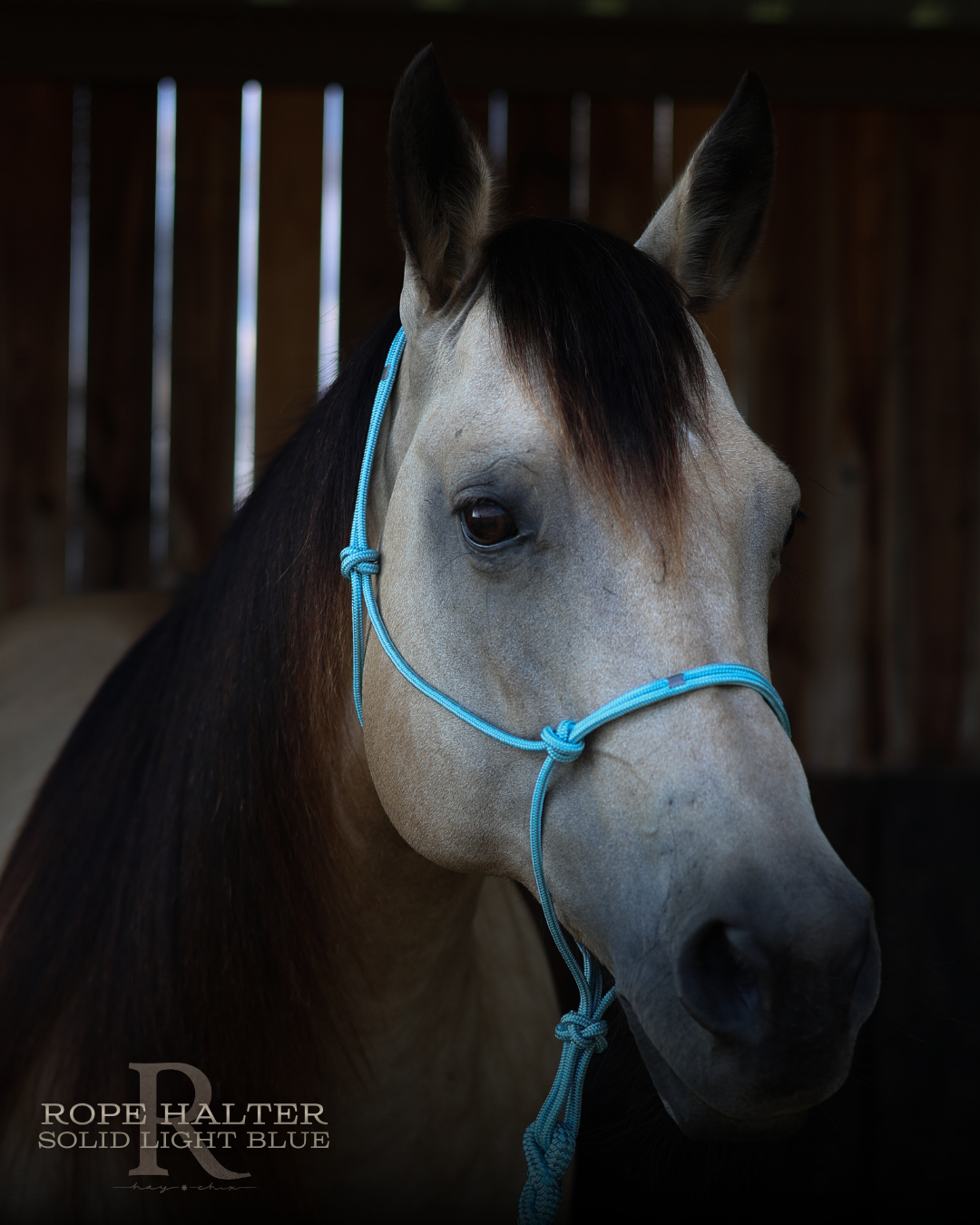 Redemption Rope Halters