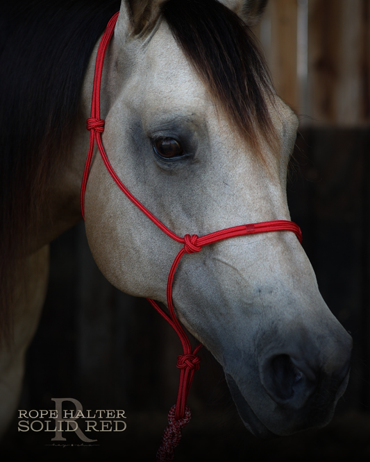 Redemption Rope Halters