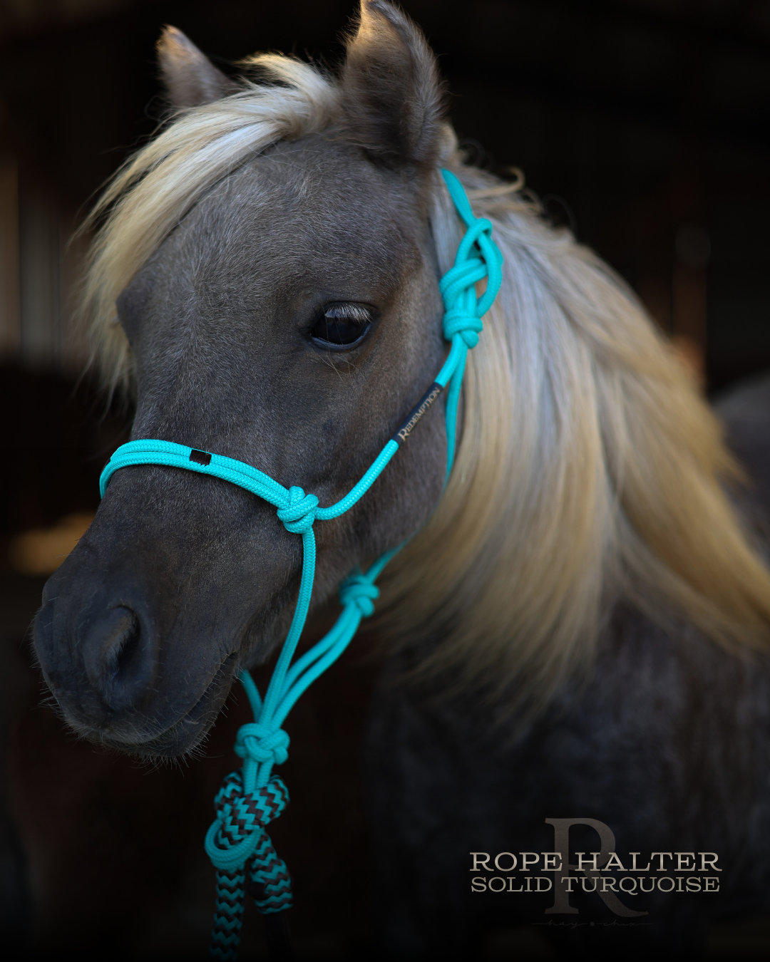 Redemption Rope Halters