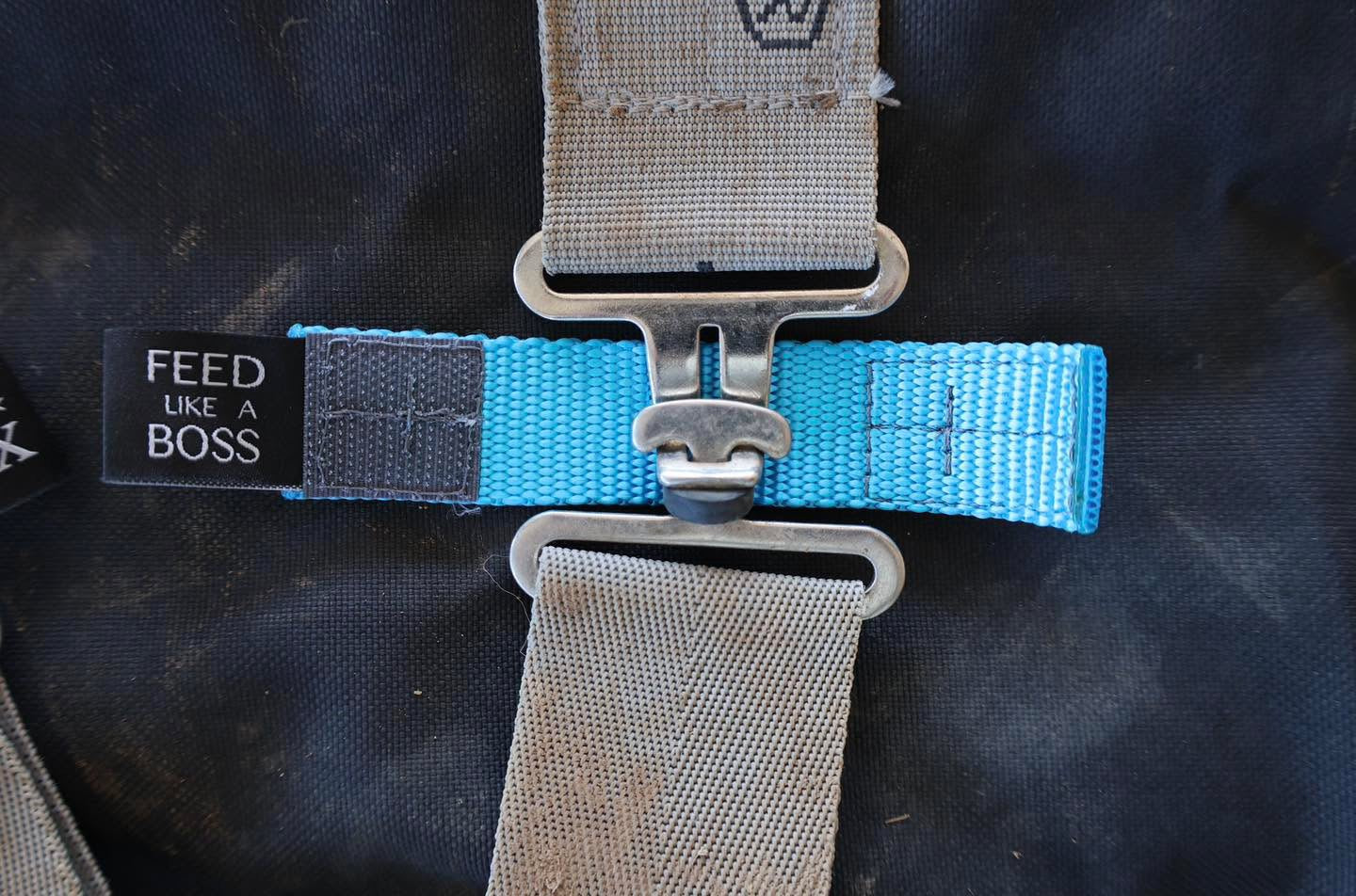 Hay Chix® Buckle Safety Covers