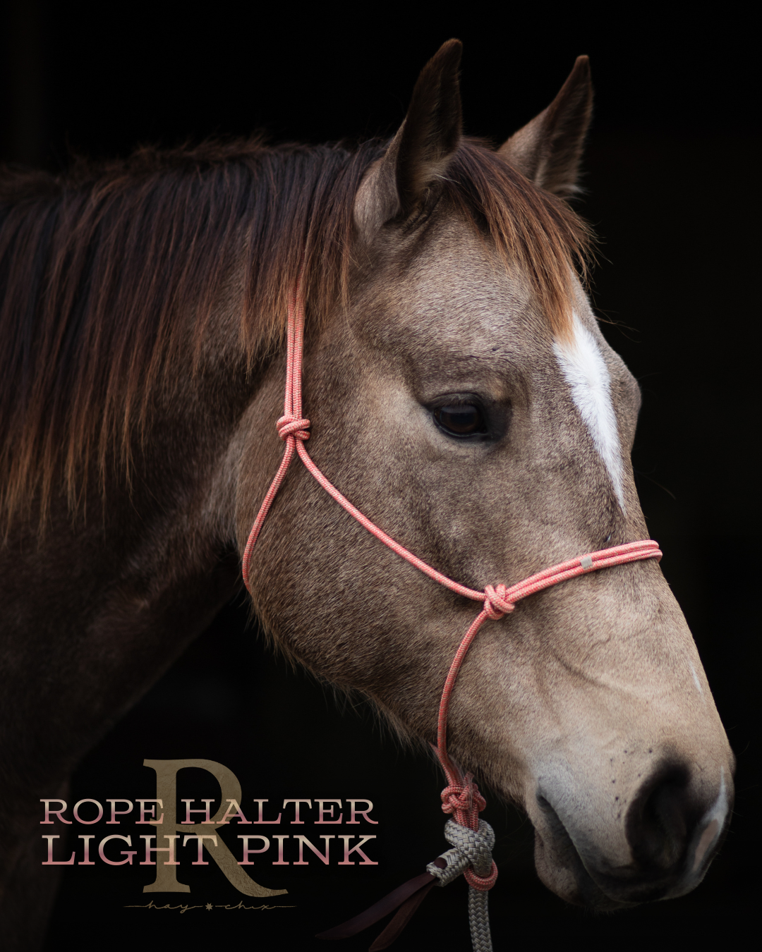 Redemption Rope Halters