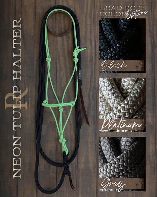 Timeless Halter & Lead Rope Set- Neon Tulip
