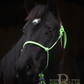 Redemption Rope Halters