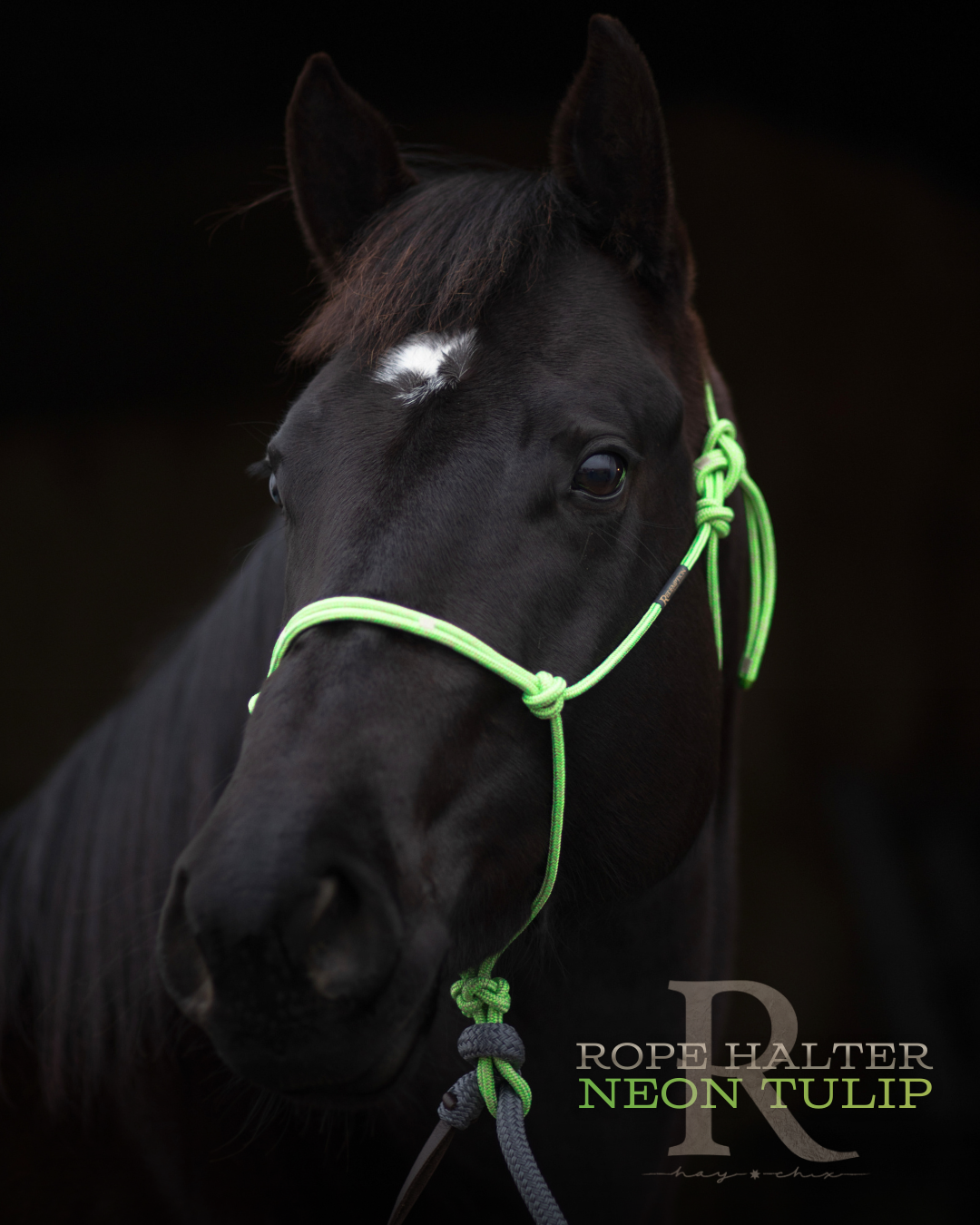 Redemption Rope Halters