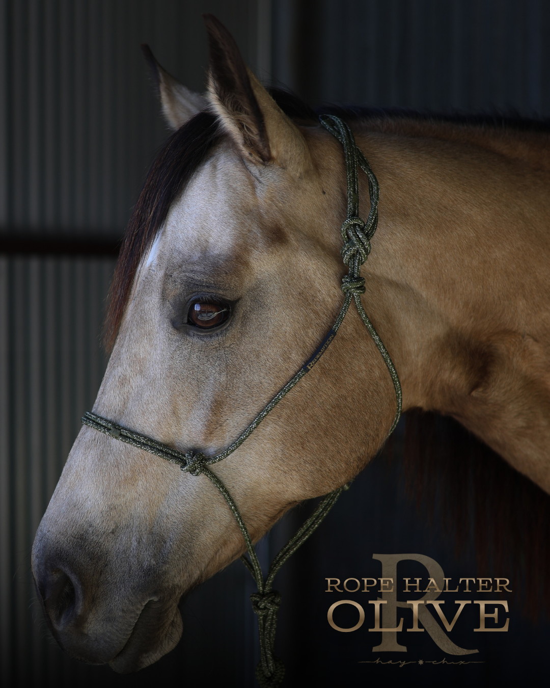 Redemption Rope Halters
