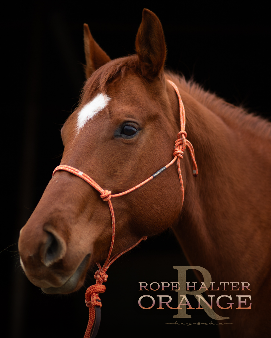 Redemption Rope Halters