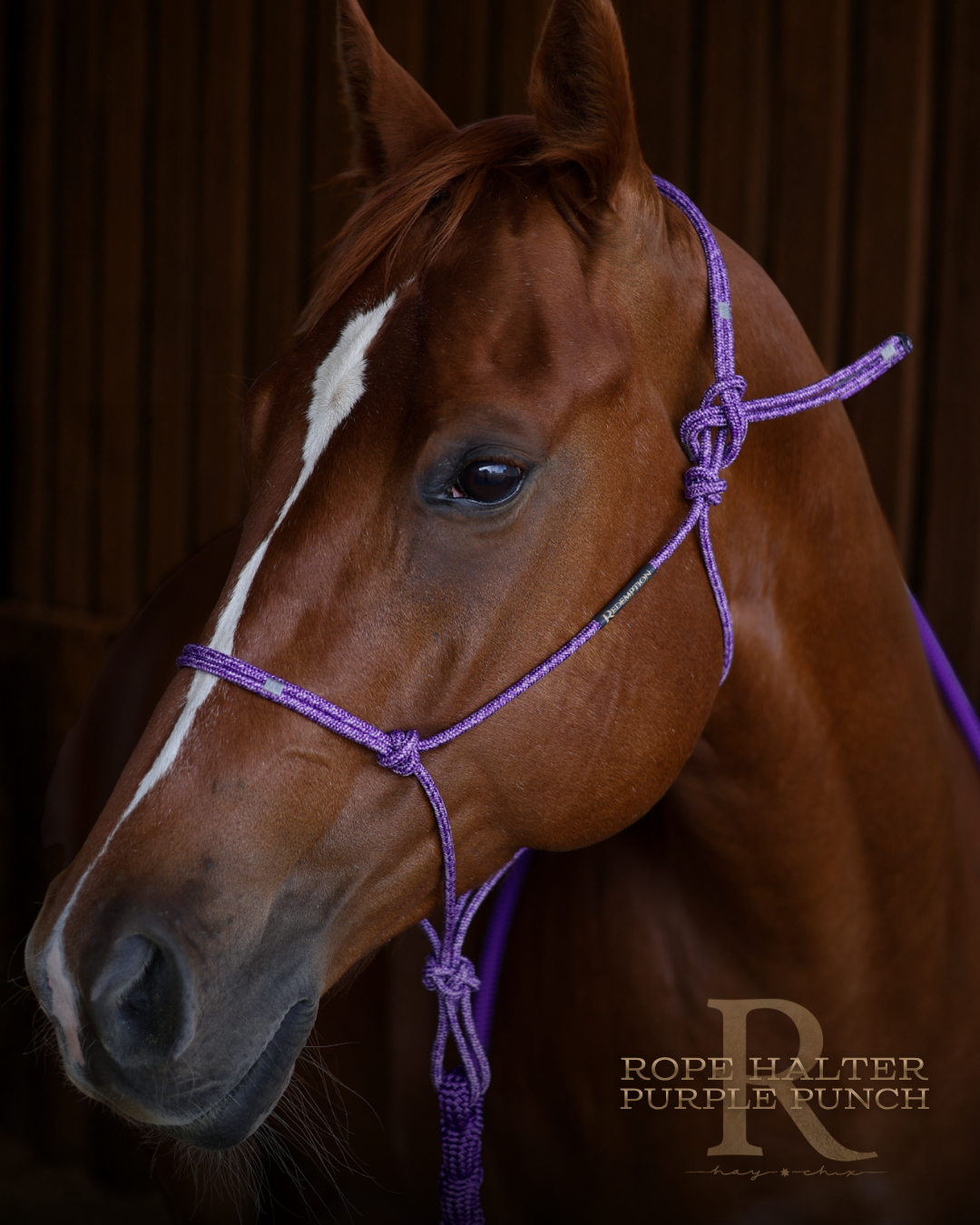 Redemption Rope Halters