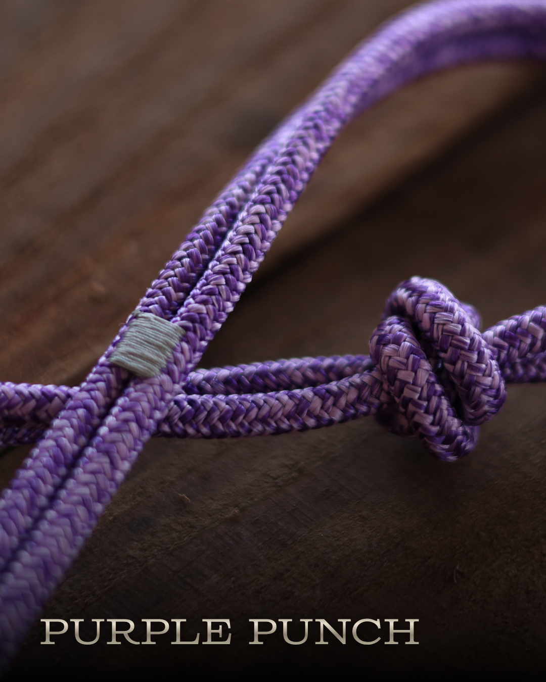 Timeless Halter & Lead Rope Set- Purple Punch