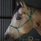 Redemption Rope Halters