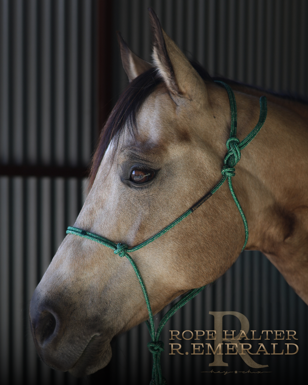 Redemption Rope Halters