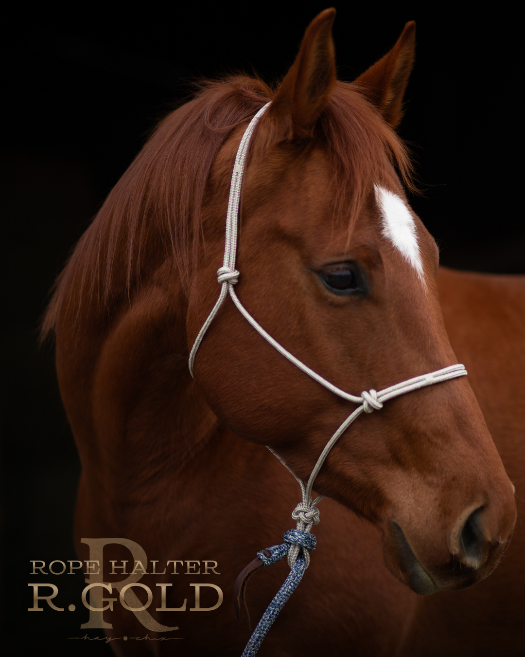 Redemption Rope Halters
