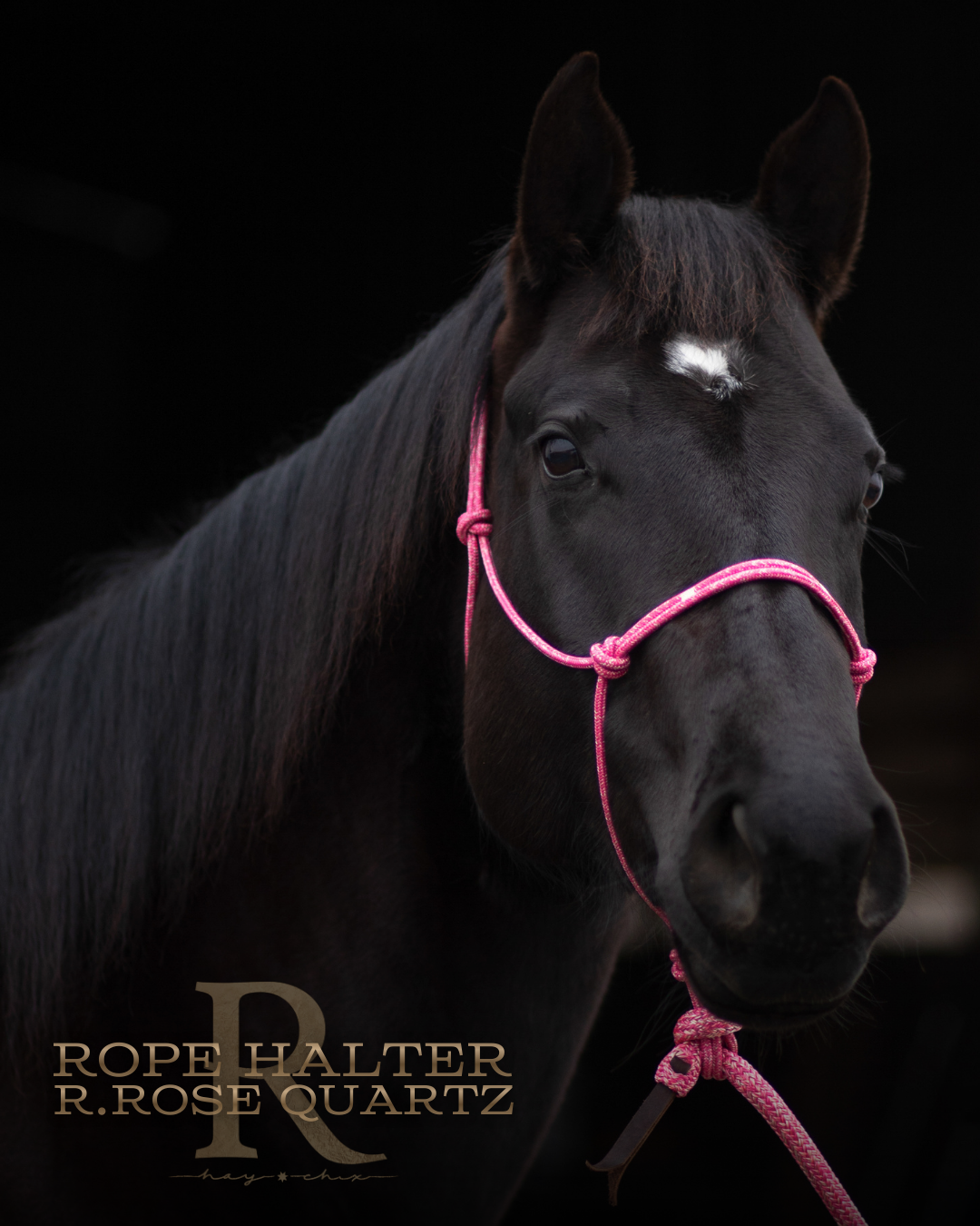 Redemption Rope Halters