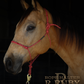 Redemption Rope Halters