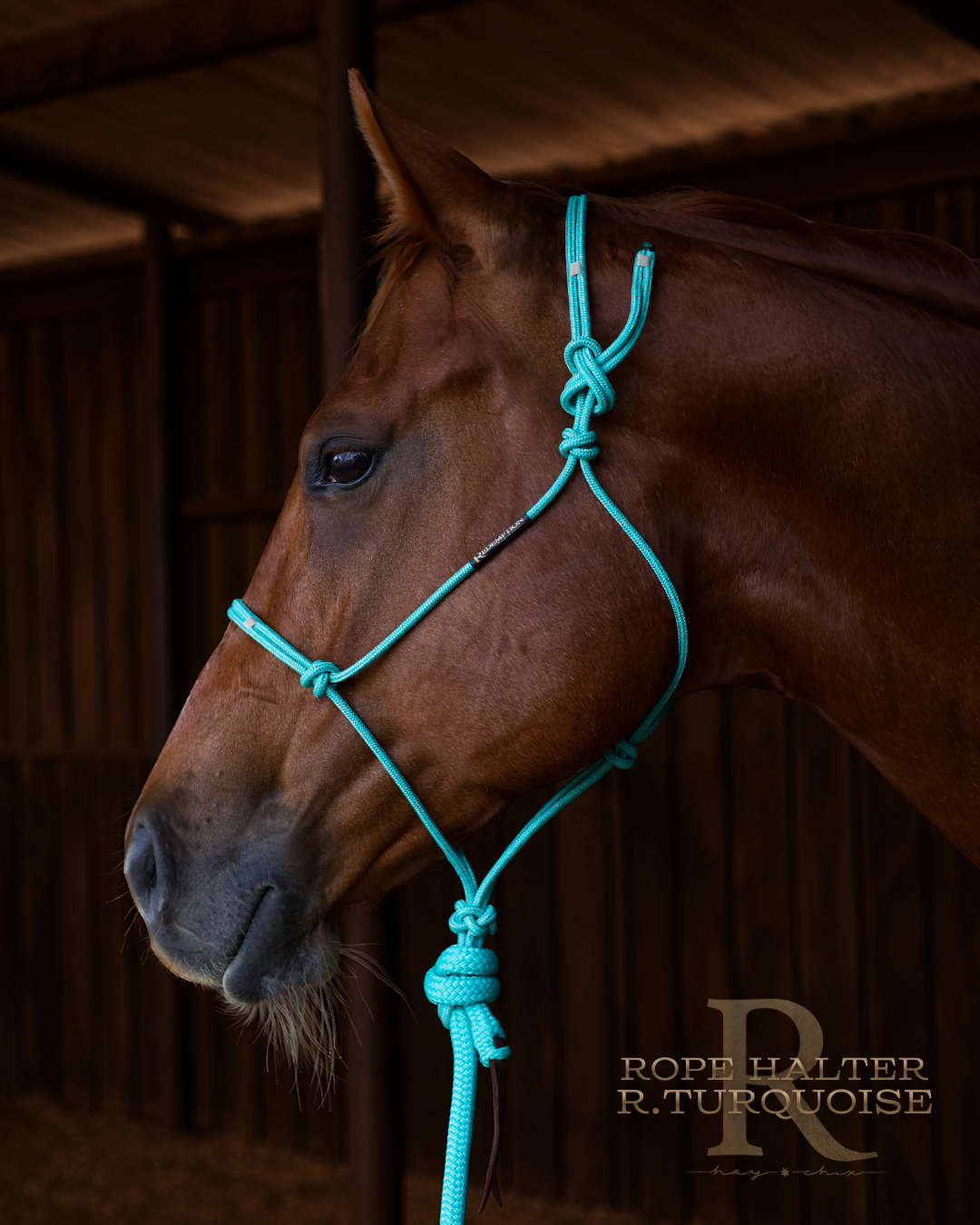 Redemption Rope Halters