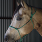 Redemption Rope Halters (Standard Size - On Sale)