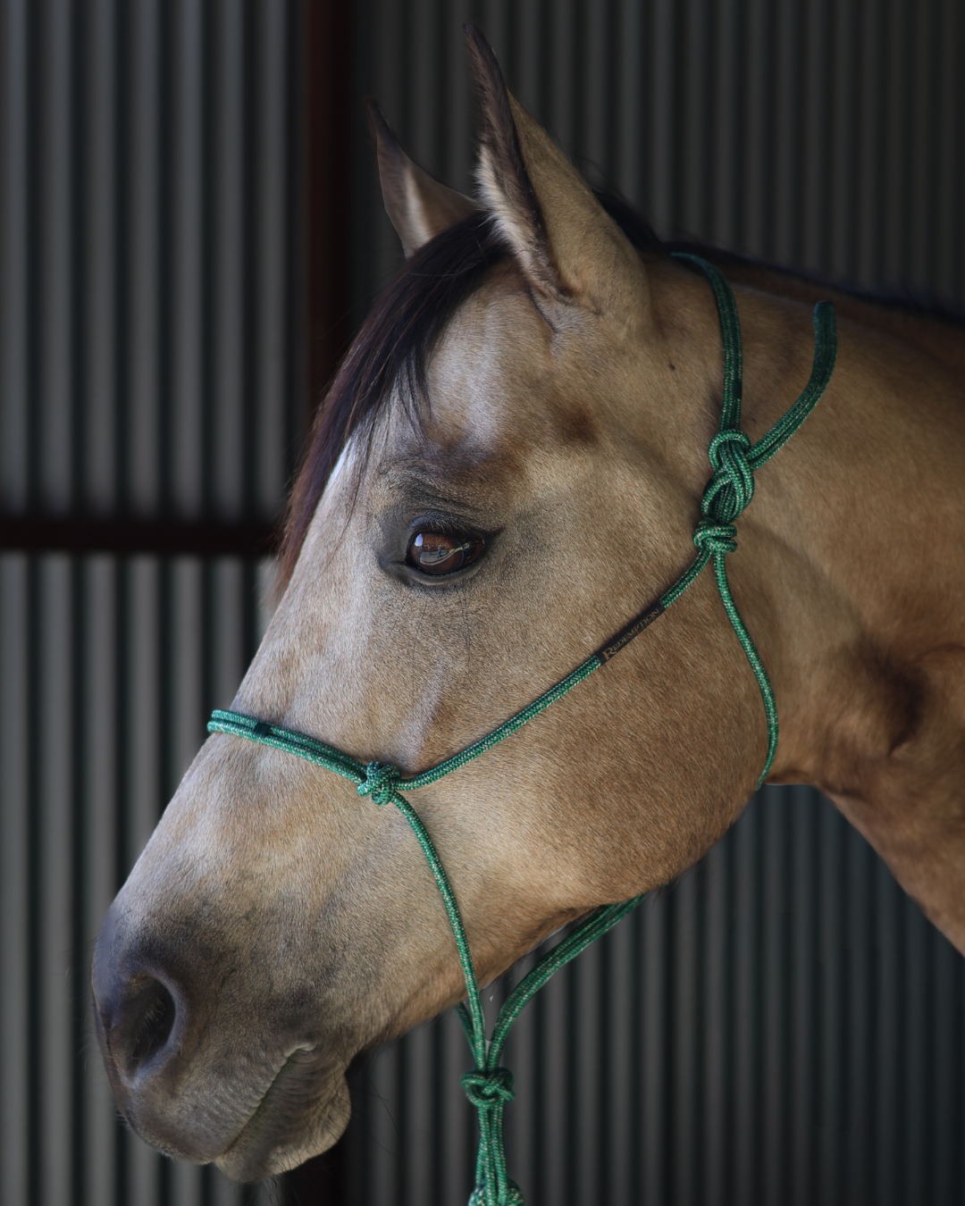 Redemption Rope Halters (Standard Size - On Sale)