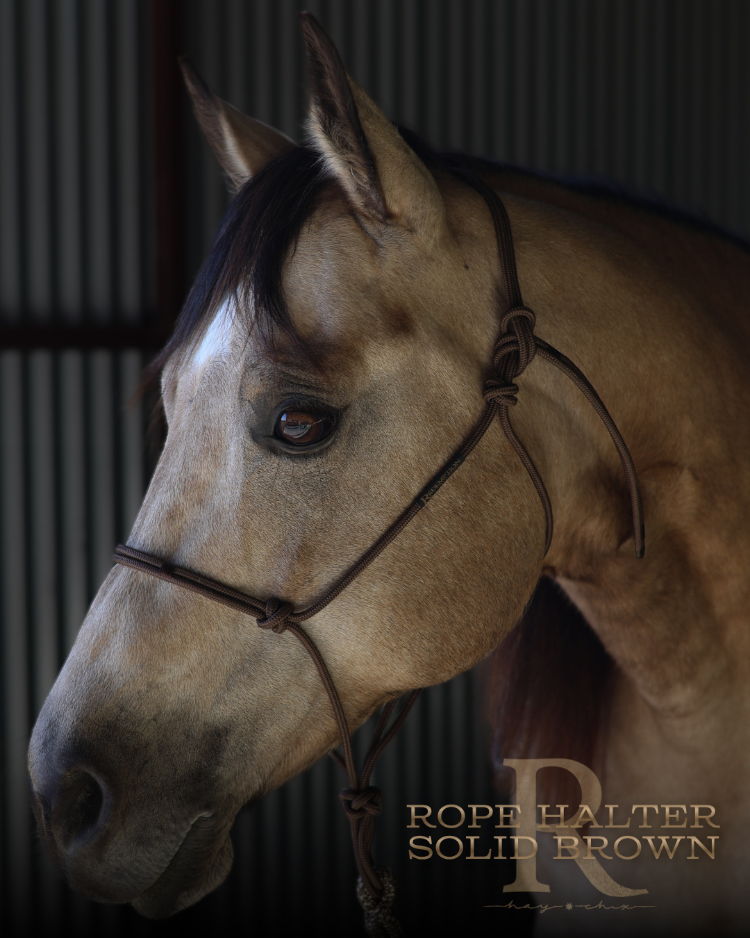 Redemption Rope Halters