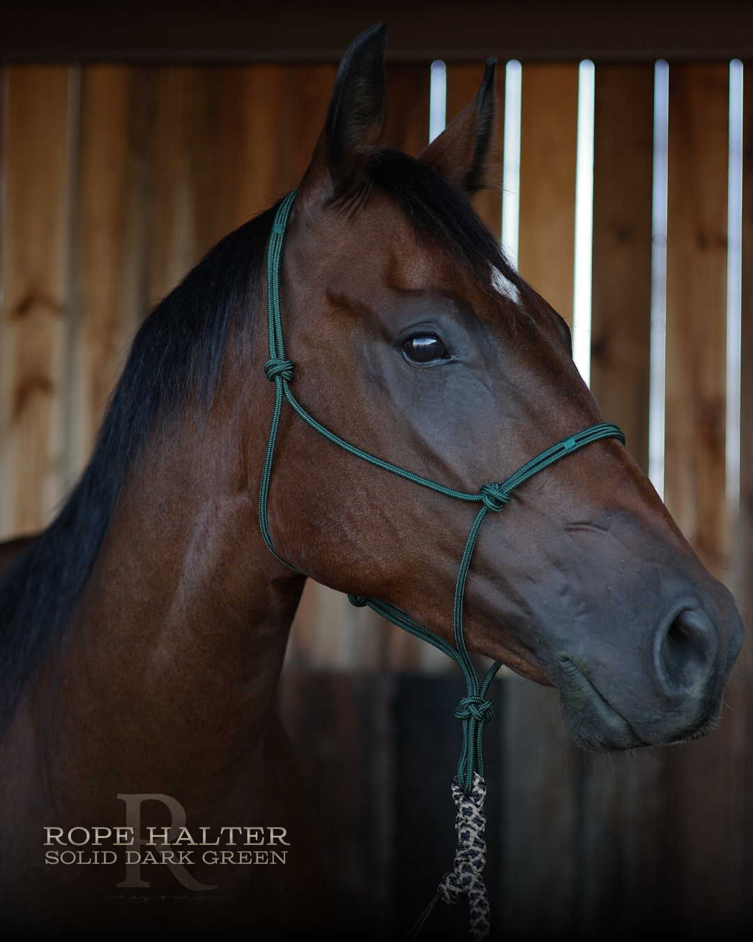 Redemption Rope Halters