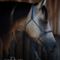 Redemption Rope Halters