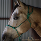 Redemption Rope Halters