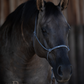 Redemption Rope Halters