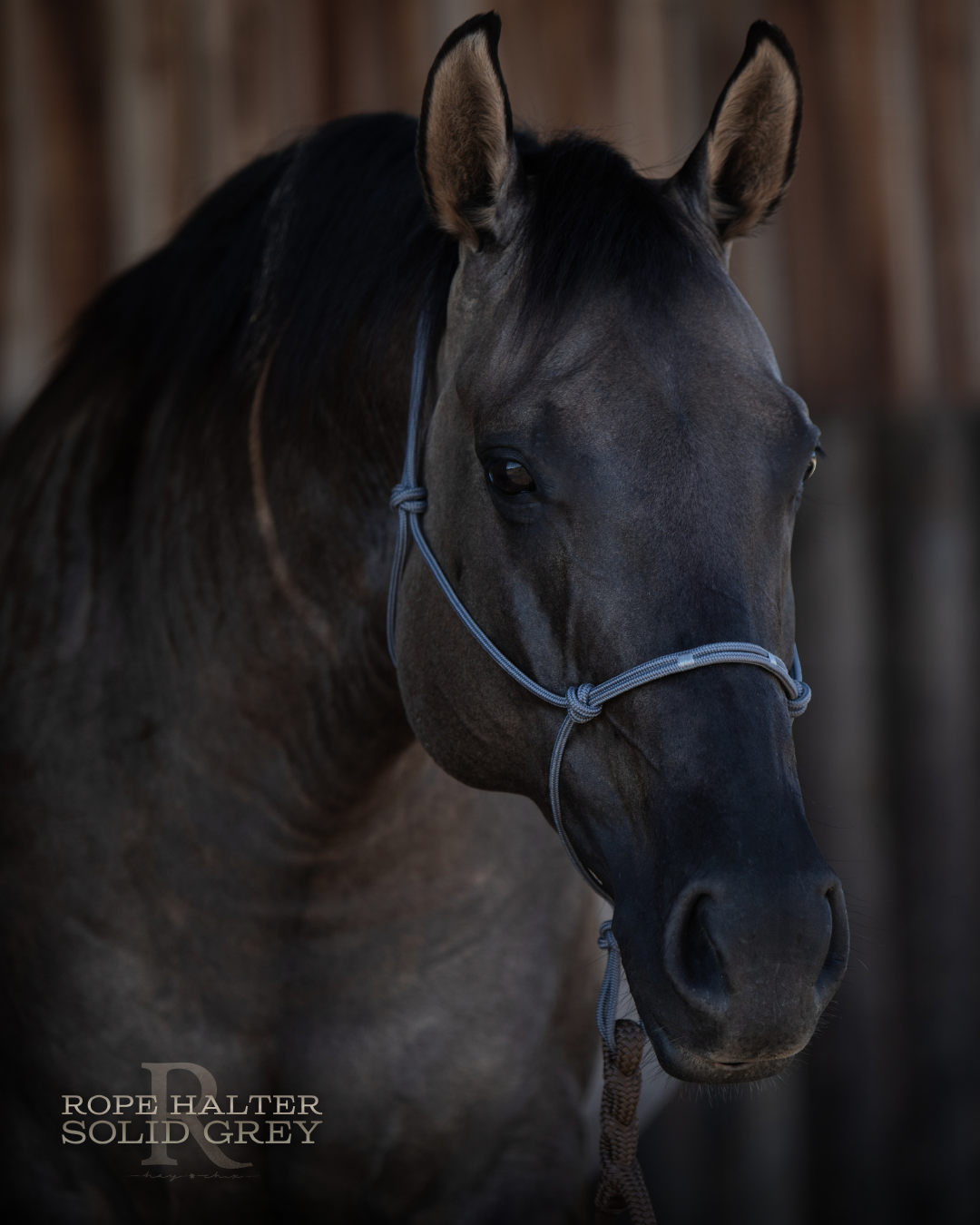 Redemption Rope Halters