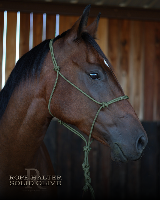 Redemption Rope Halters