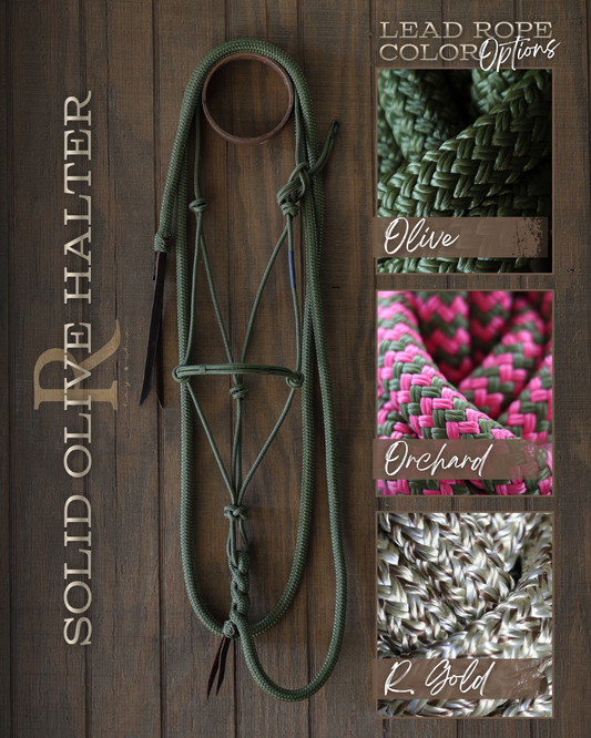 Timeless Halter & Lead Rope Set- Solid Olive