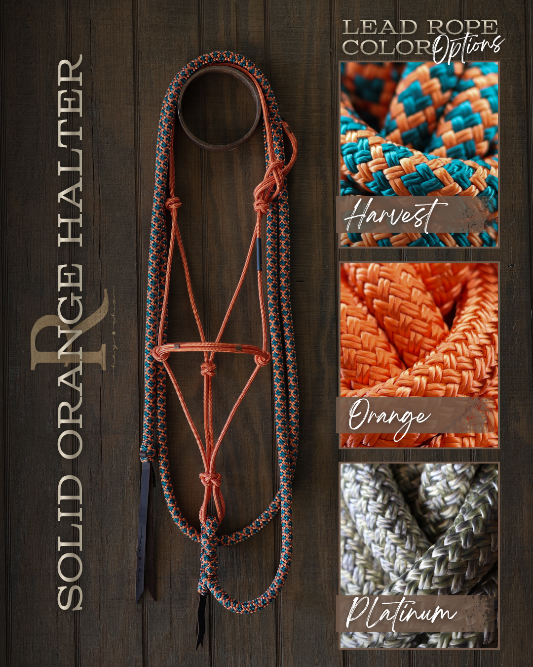 Timeless Halter & Lead Rope Set- Solid Orange