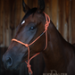 Timeless Halter & Lead Rope Set- Solid Orange