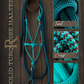 Timeless Halter & Lead Rope Set- Solid Turquoise