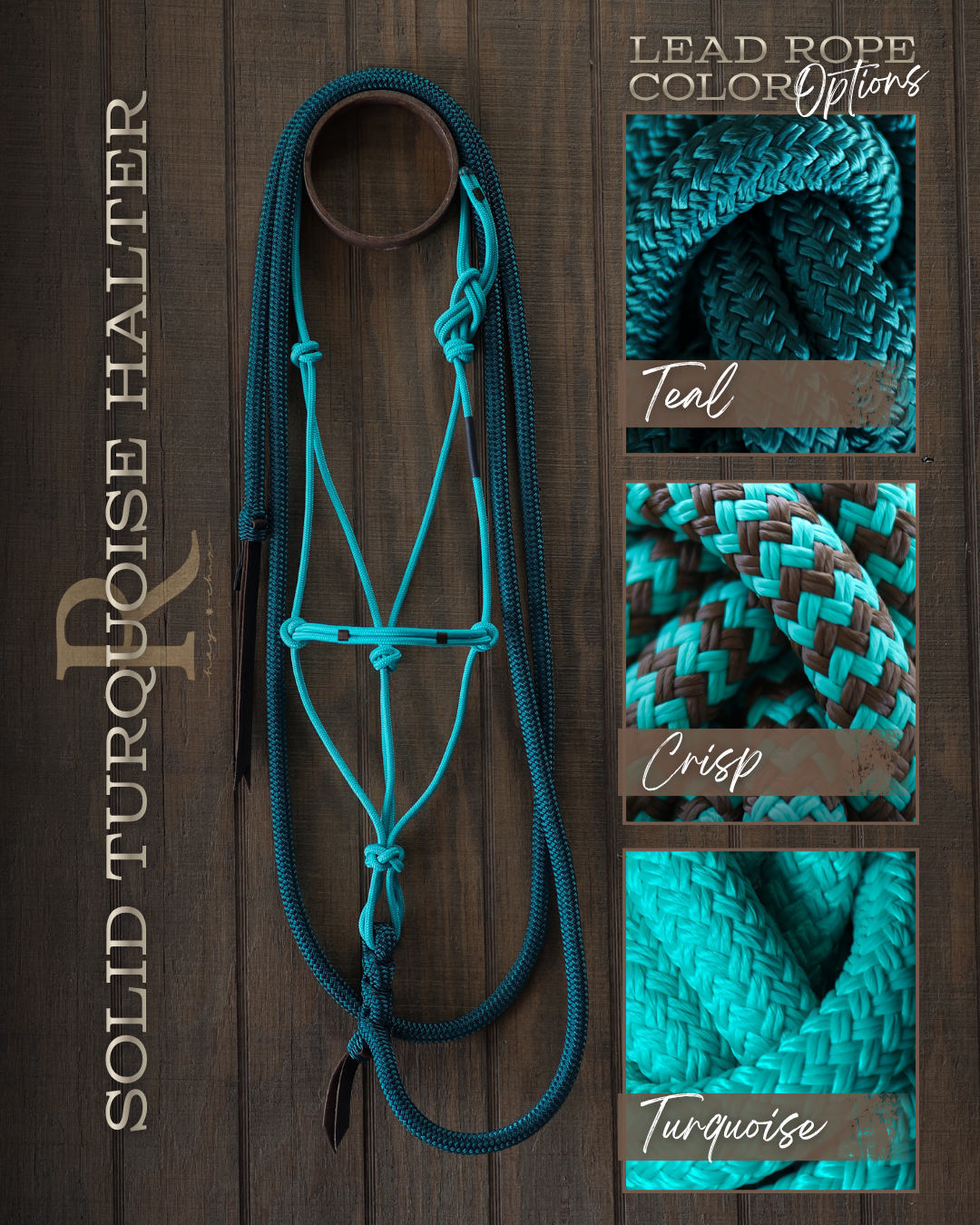 Timeless Halter & Lead Rope Set- Solid Turquoise