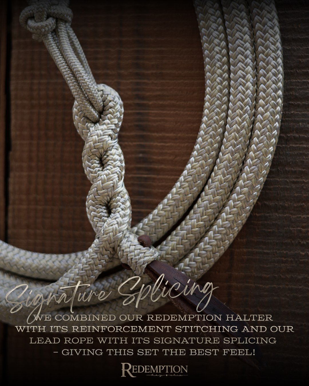 Timeless Halter & Lead Rope Set- Orange