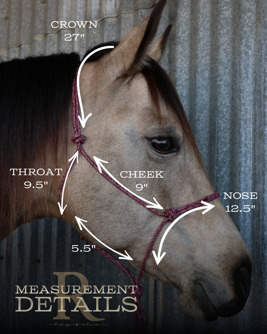 Timeless Halter & Lead Rope Set- Orange