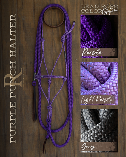 Timeless Halter & Lead Rope Set- Purple Punch