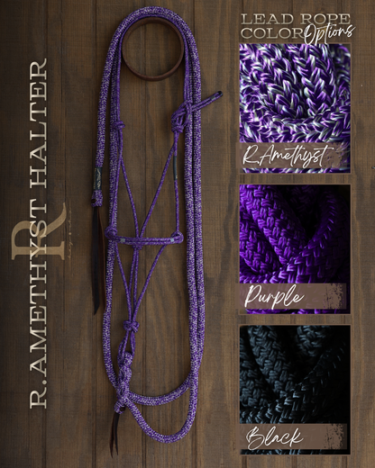 Timeless Halter & Lead Rope Set- Redemption Amethyst