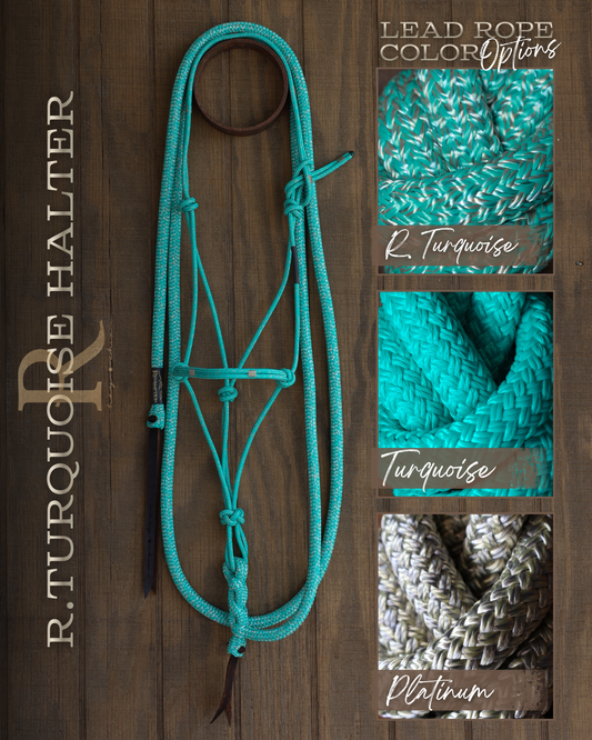 Timeless Halter & Lead Rope Set- Redemption Turquoise