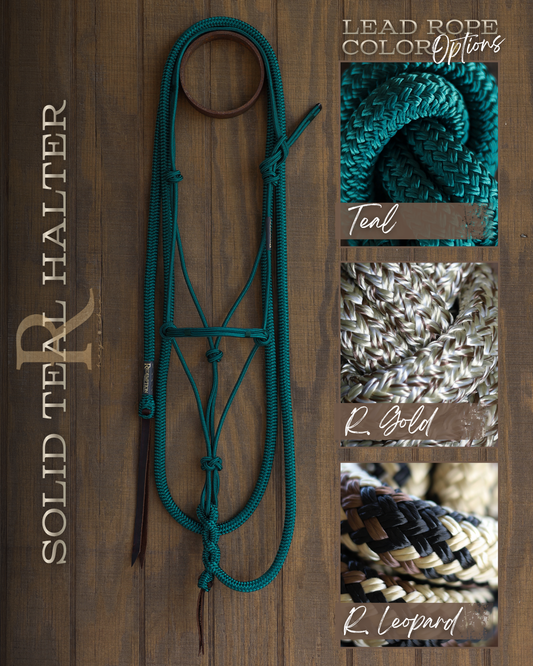 Timeless Halter & Lead Rope Set- Solid Teal
