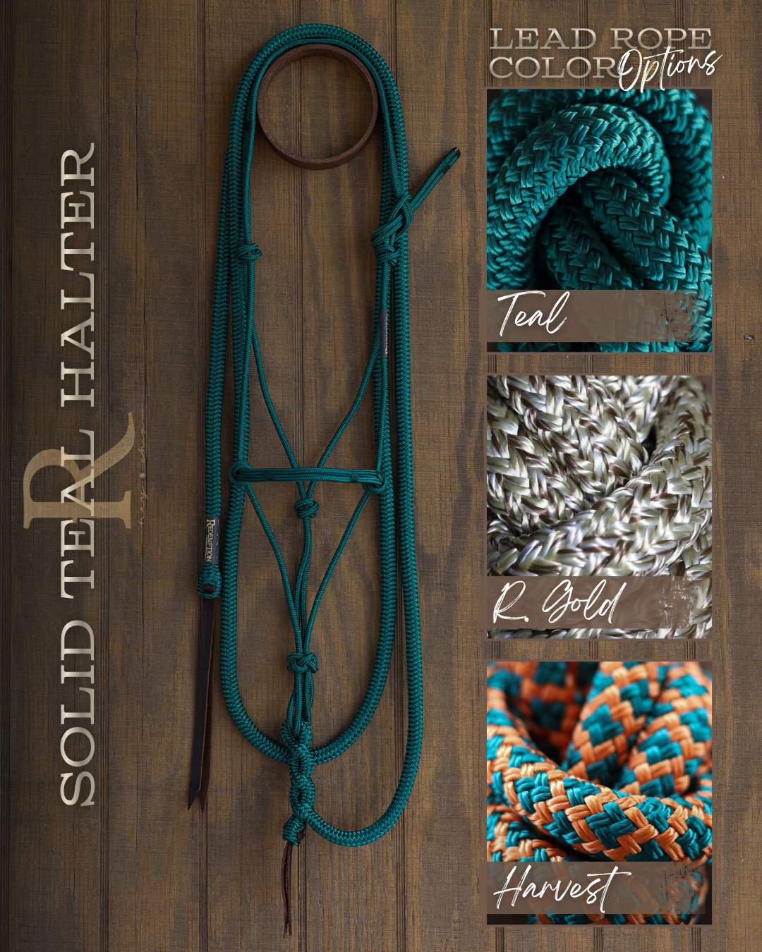 Timeless Halter & Lead Rope Set- Solid Teal
