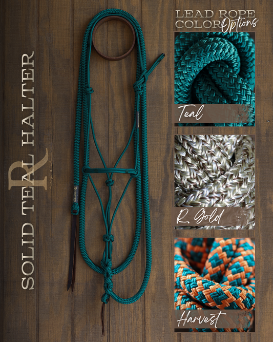 Timeless Halter & Lead Rope Set- Solid Teal