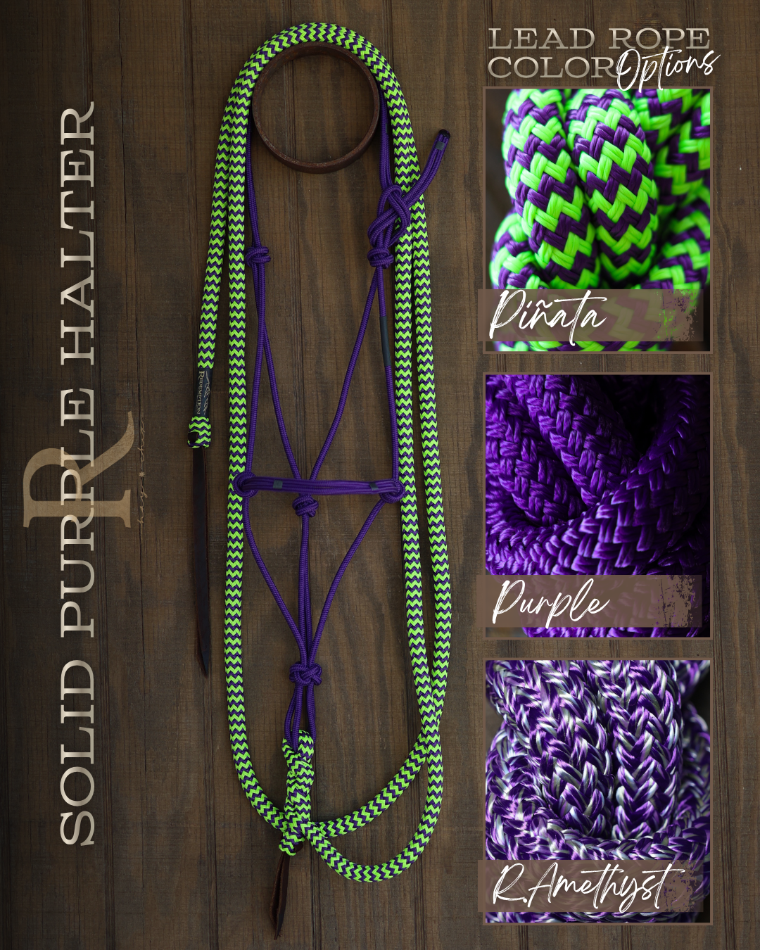 Timeless Halter & Lead Rope Set- Solid Purple