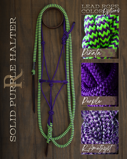 Timeless Halter & Lead Rope Set- Solid Purple