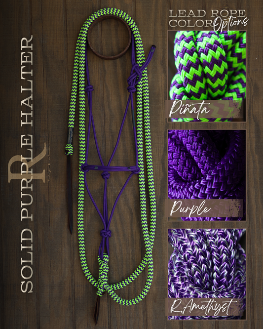 Timeless Halter & Lead Rope Set- Solid Purple